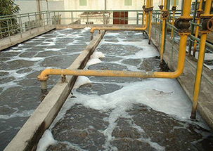 屠宰废水污染处理的更好的方法-广东星源环保